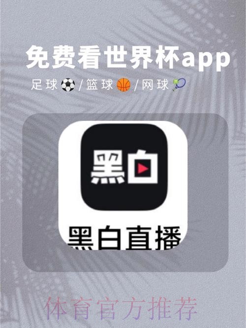 安卓平台免费看世界杯直播的热门应用推荐